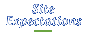 The Enjoying Life Site Expectations